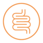 Digestive Health Icon